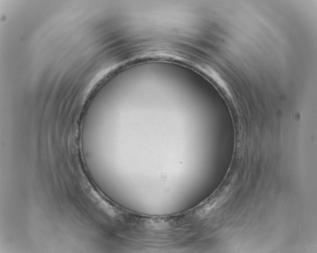 X0000089440799200707061407