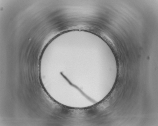 X0000089440800200707061407