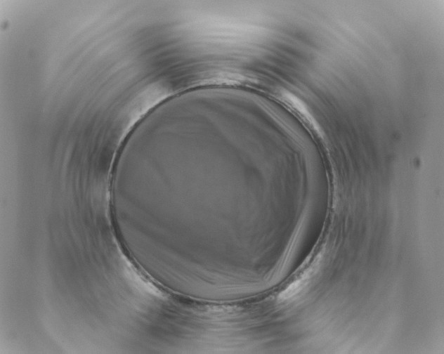 X0000089440802200707061407