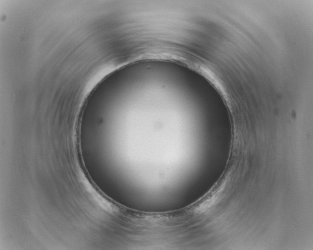 X0000089440803200707061407