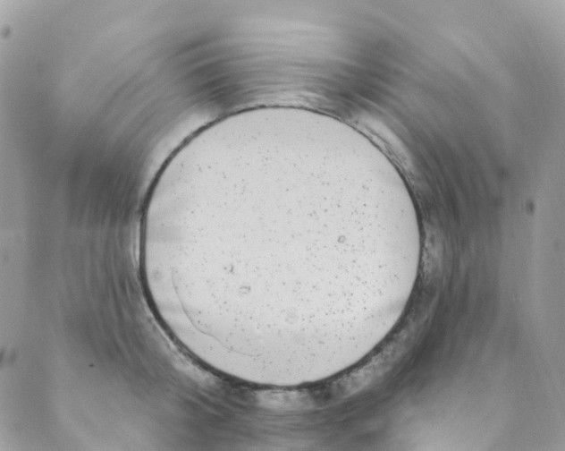 X0000089440804200707061407