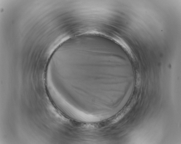 X0000089440806200707061407