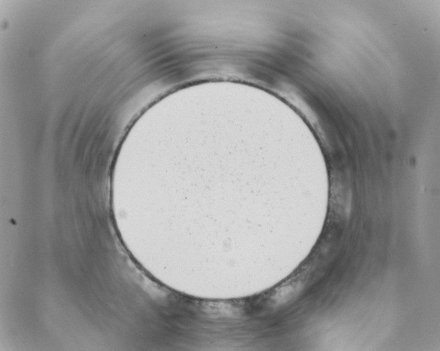 X0000089440807200707061407