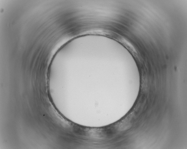 X0000089440808200707061407