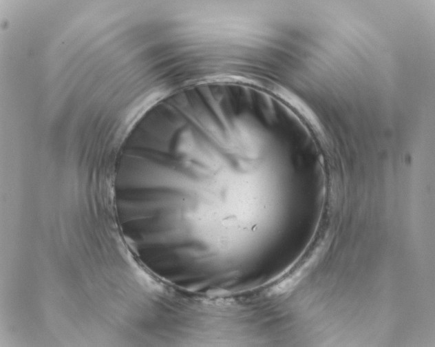 X0000089440809200707061407