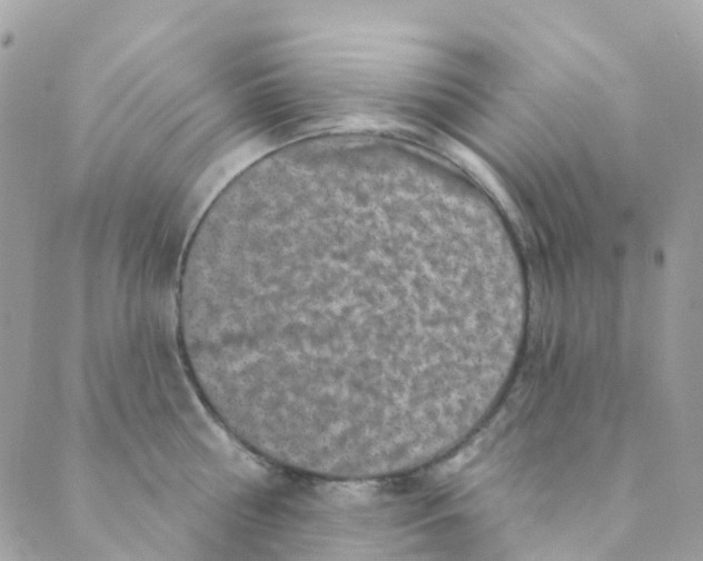 X0000089440810200707061407