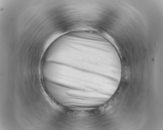 X0000089440811200707061407