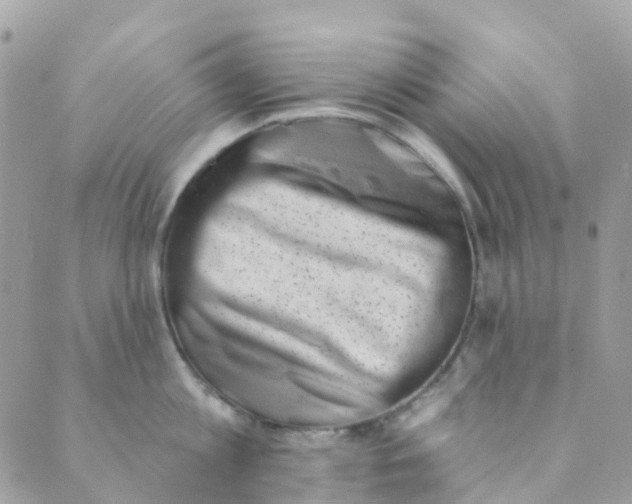 X0000089440813200707061407