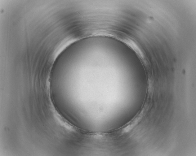 X0000089440814200707061407