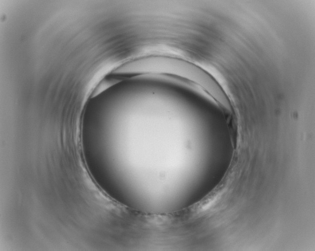 X0000089440815200707061407