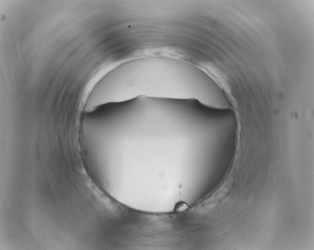 X0000089440816200707061407