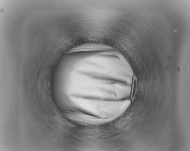 X0000089440817200707061406