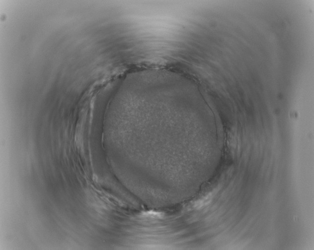 X0000089440818200707061406