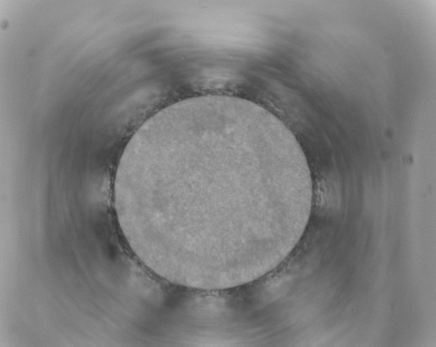 X0000089440820200707061406