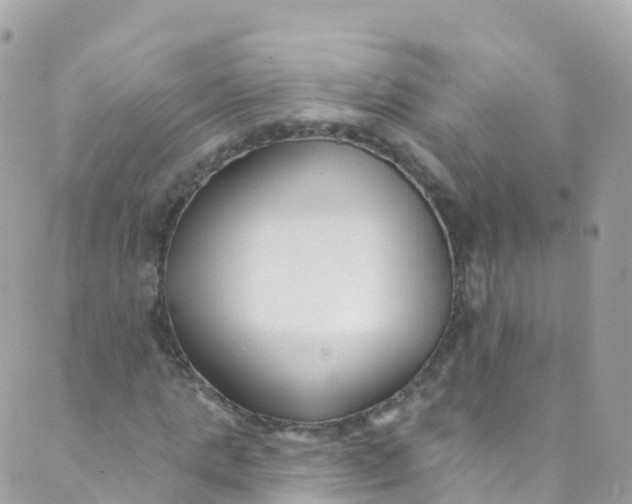 X0000089440821200707061406