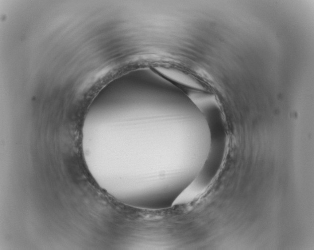 X0000089440822200707061406