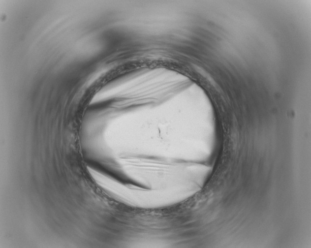 X0000089440823200707061406