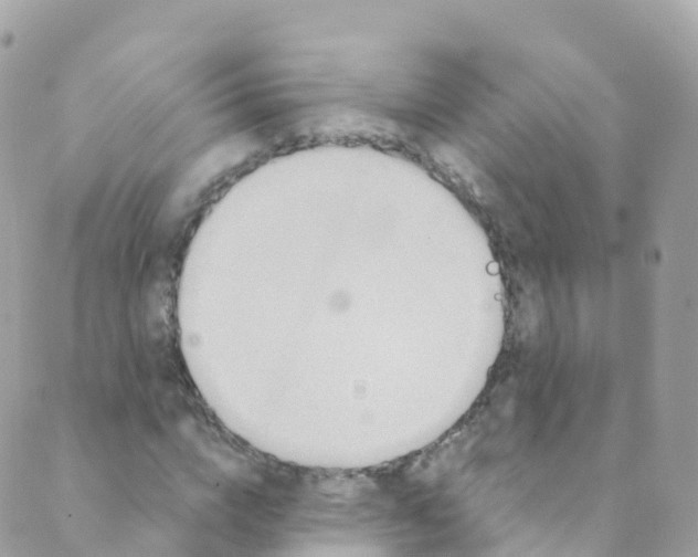 X0000089440824200707061406