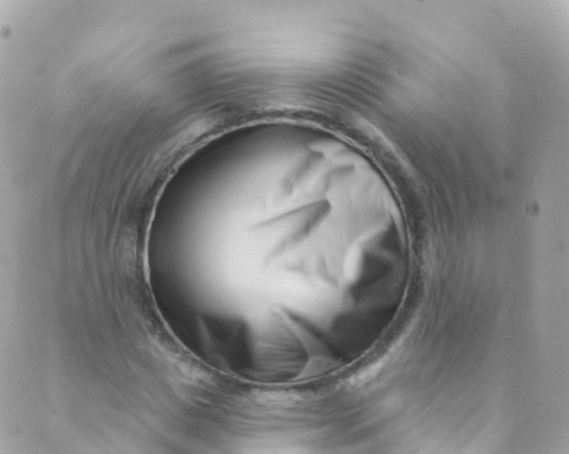 X0000089440825200707061406