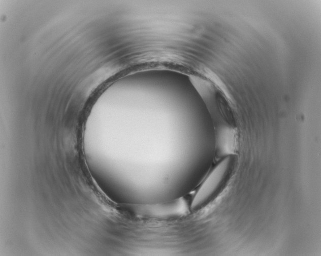 X0000089440826200707061406