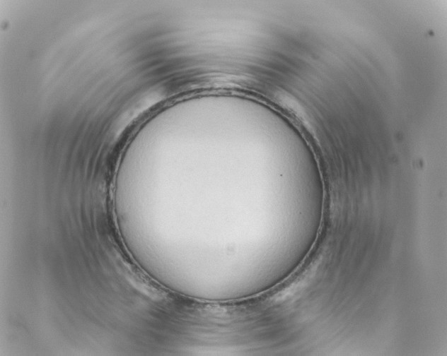 X0000089440827200707061406