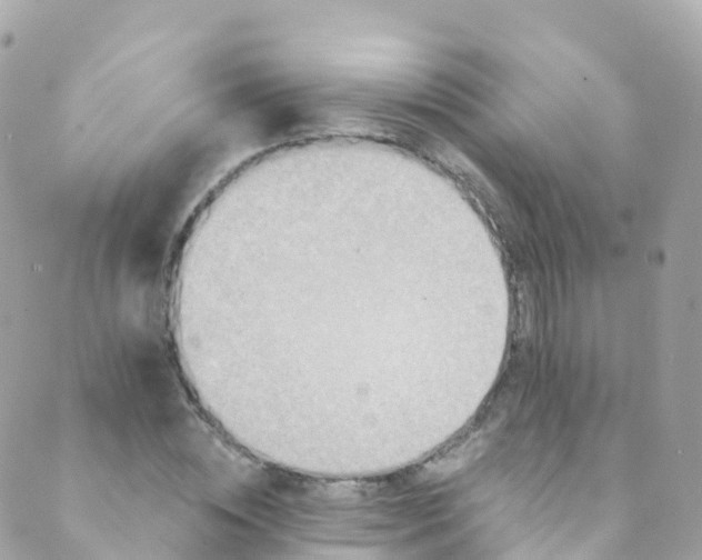 X0000089440828200707061406