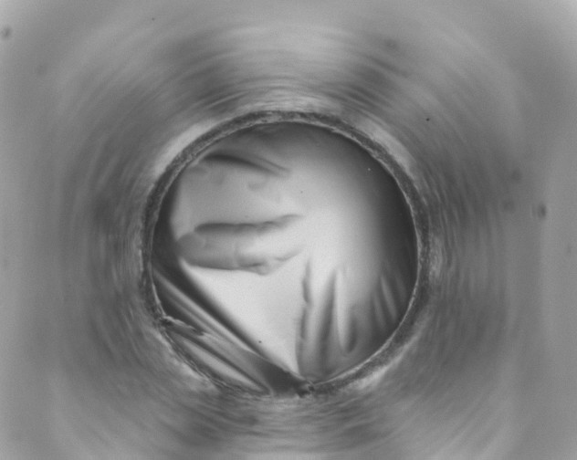 X0000089440829200707061406