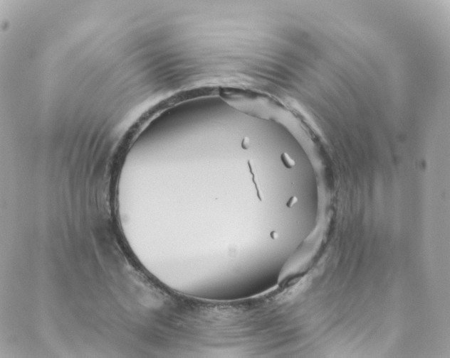 X0000089440830200707061406