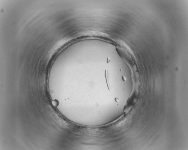 X0000089440831200707061406