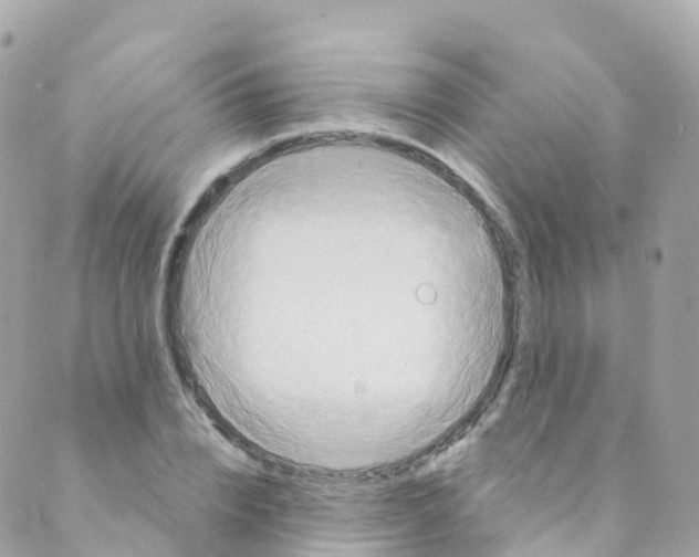 X0000089440832200707061406