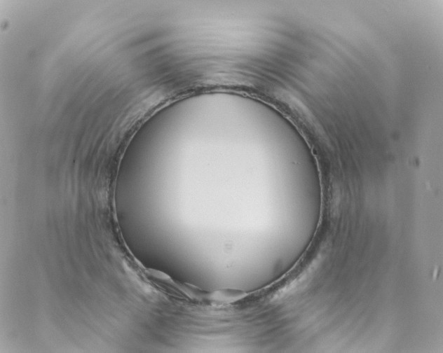 X0000089440833200707061406