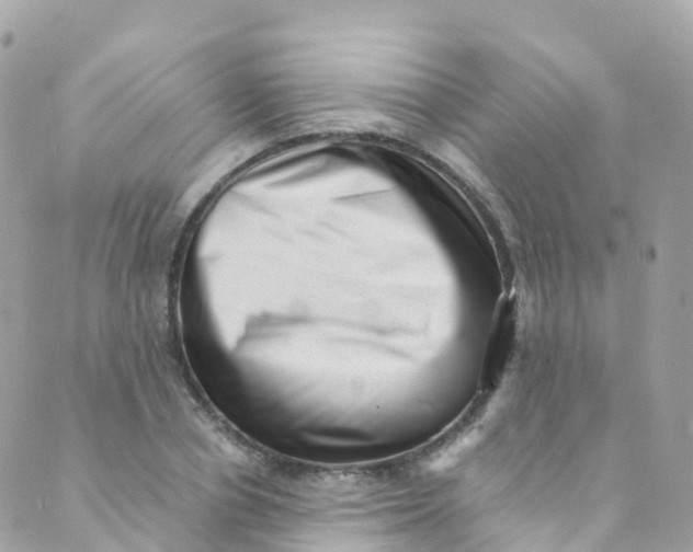 X0000089440834200707061406