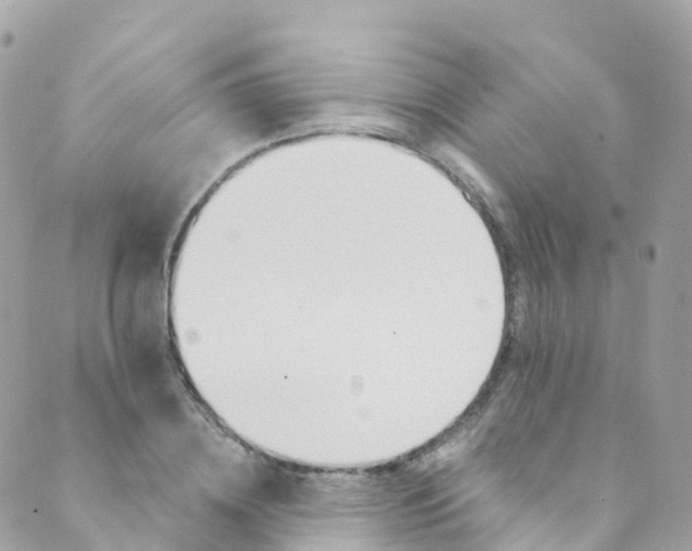 X0000089440836200707061406