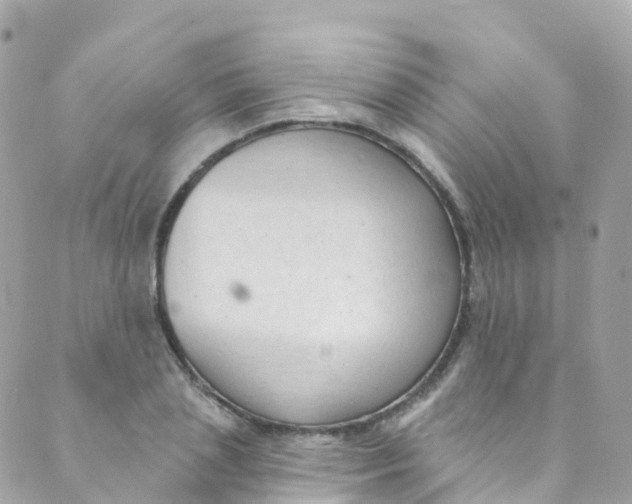 X0000089440837200707061406