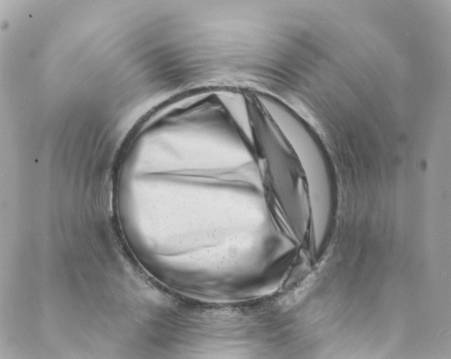 X0000089440838200707061406