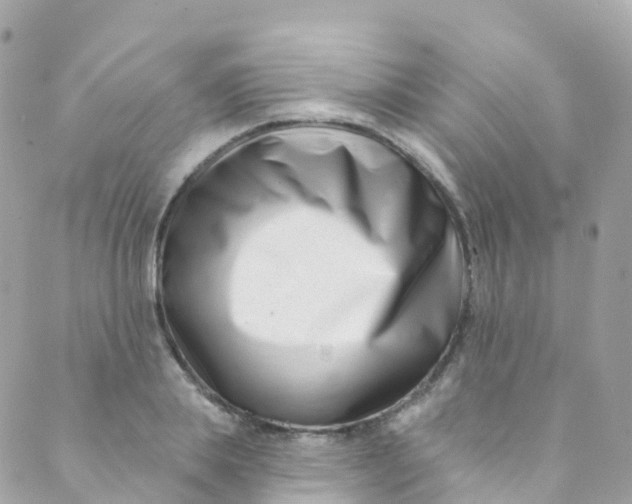 X0000089440839200707061406