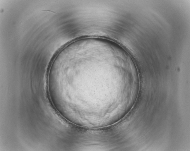 X0000089440840200707061406