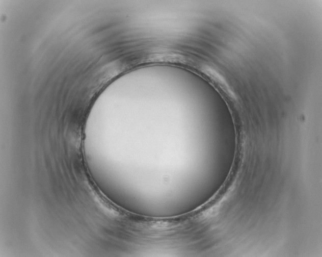 X0000089440841200707061406