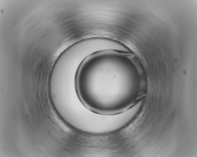 X0000089440842200707061406