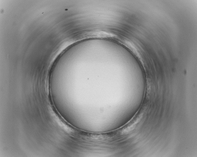 X0000089440843200707061406