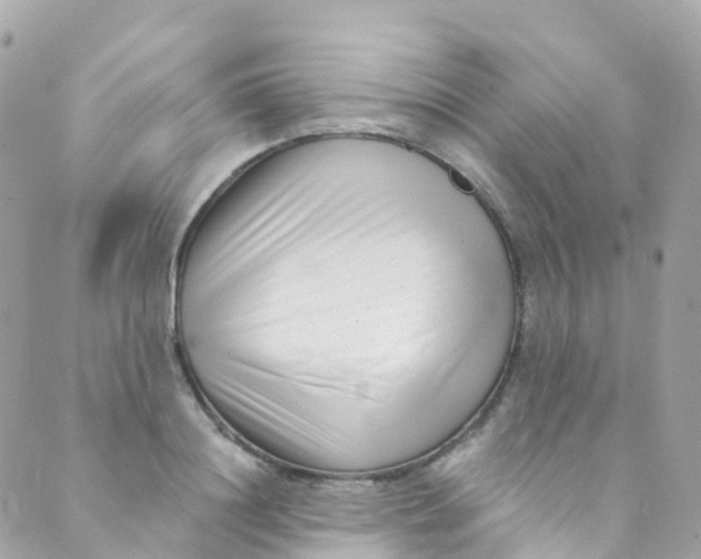 X0000089440844200707061406