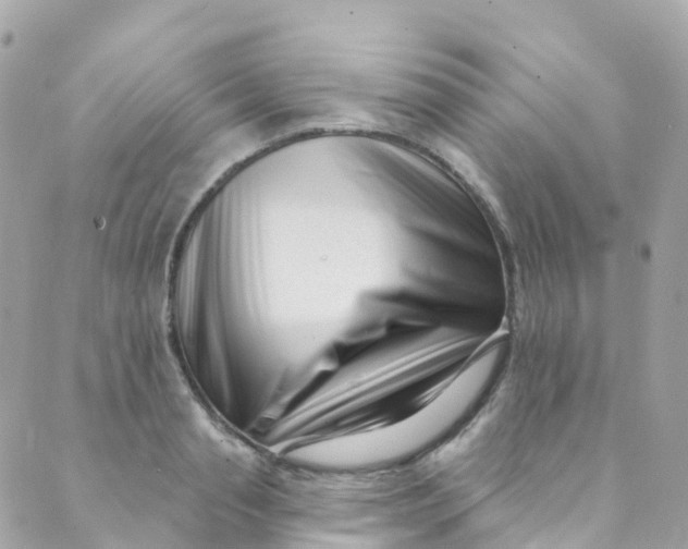 X0000089440845200707061406