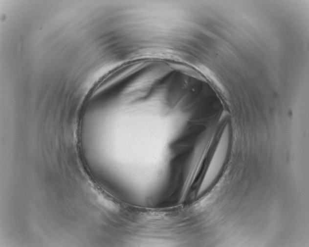 X0000089440846200707061406