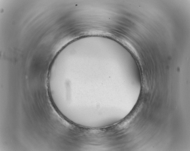 X0000089440847200707061406