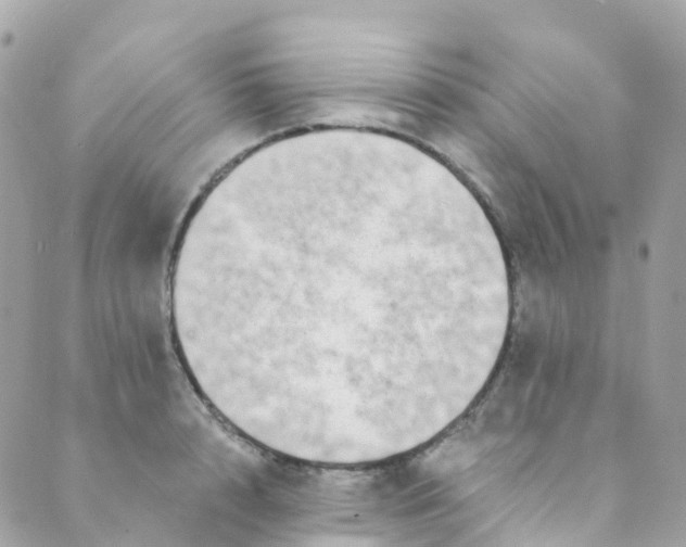 X0000089440848200707061406