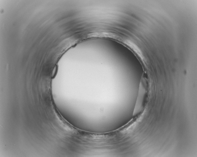 X0000089440849200707061406