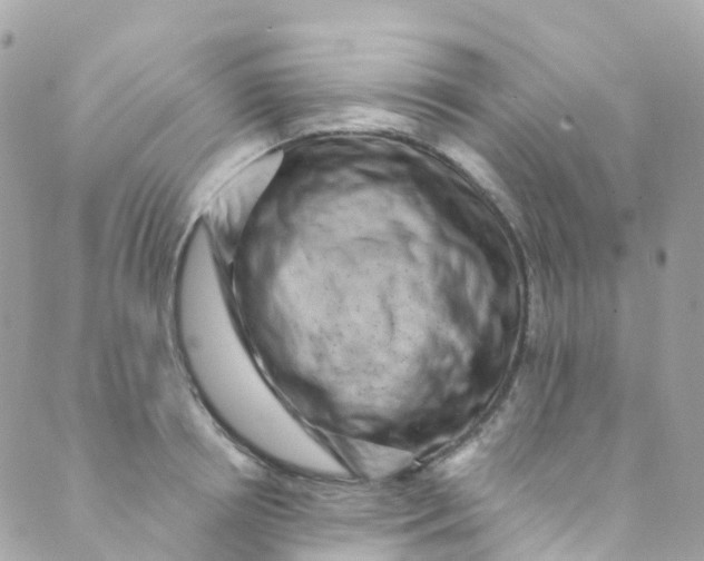 X0000089440850200707061406