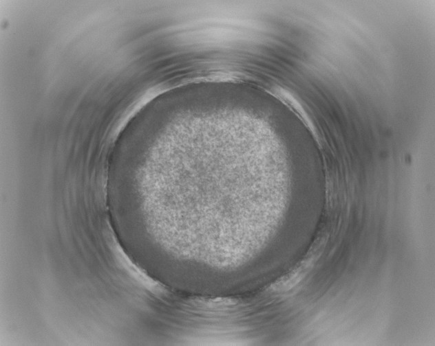 X0000089440851200707061406