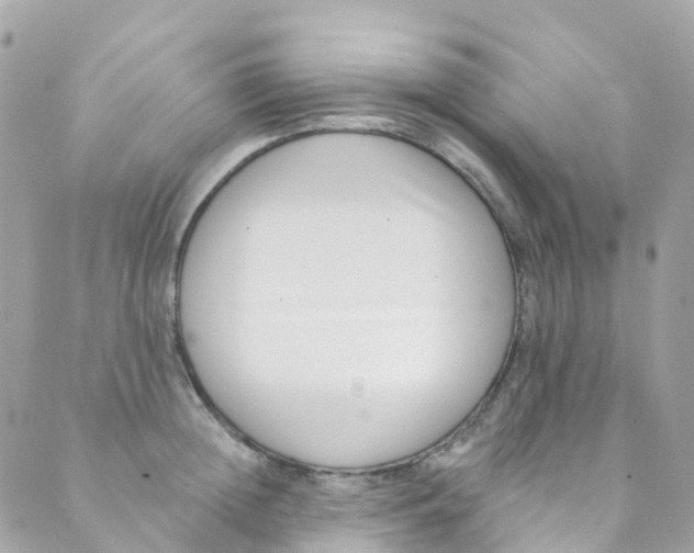 X0000089440852200707061406