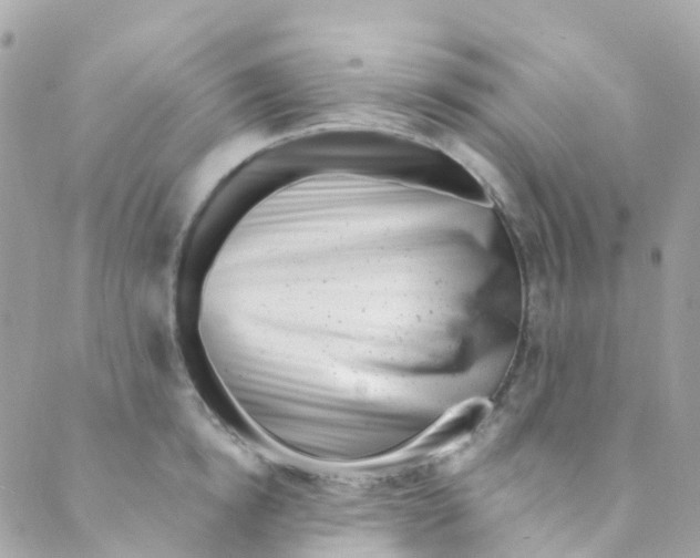 X0000089440854200707061406